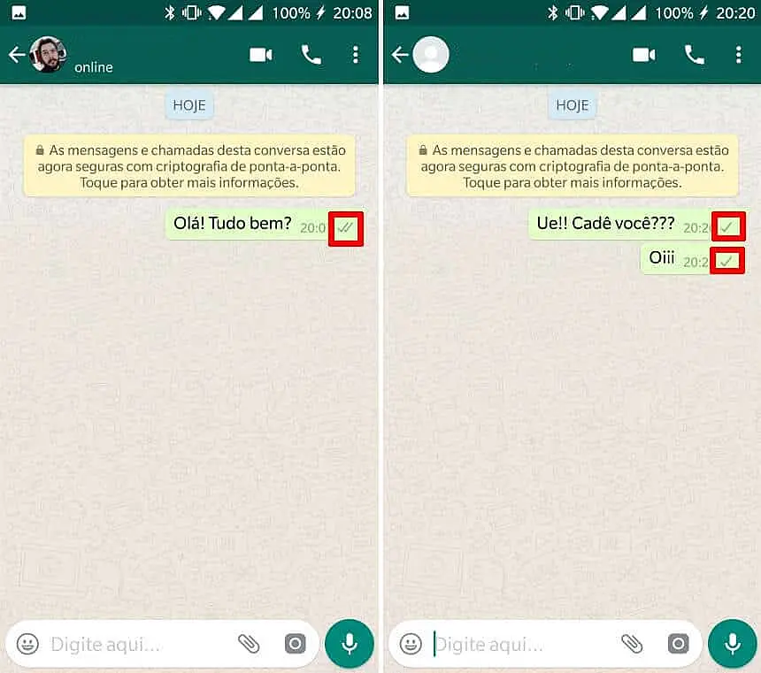 Recorte da tela do WhatsApp