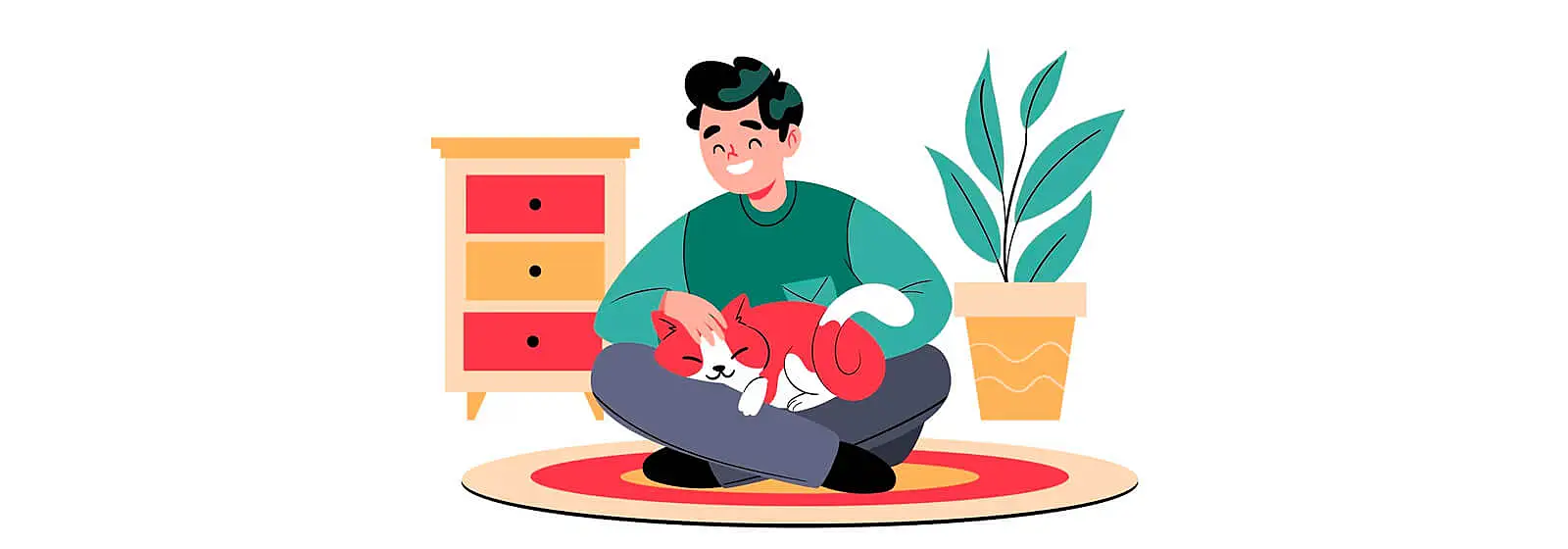 como-treinar-o-seu-gato