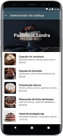 catálogos whatsapp business