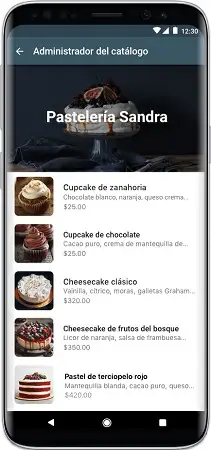 catálogos whatsapp business