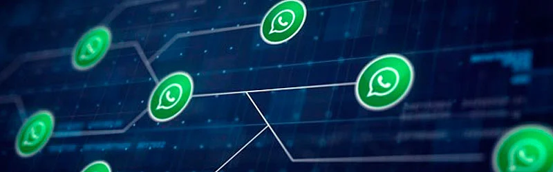 Contatos do WhtatsApp