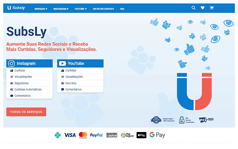 Print da interface do site de comprar curtidas no Instagram Subsly
