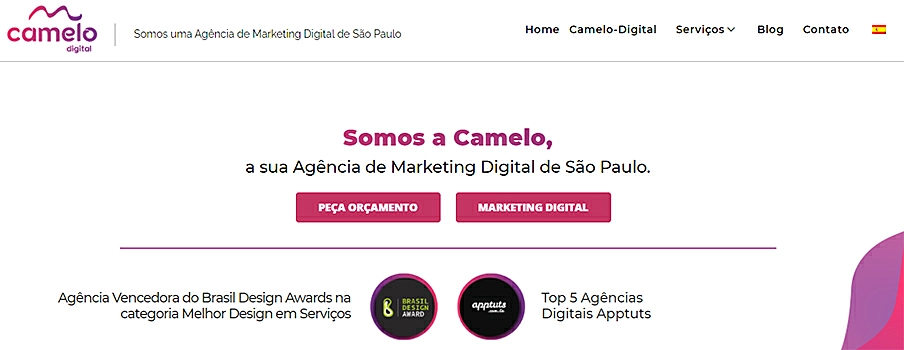 Agência Camelo Digital