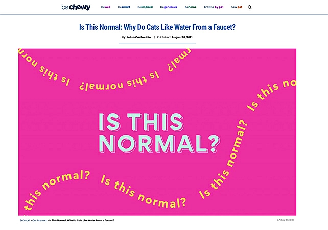 BeChewy content on Why do Cats Like Water From a Faucet