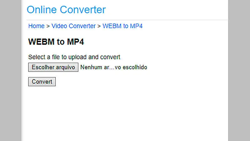 imagem que mostra o layout do site Online Converter