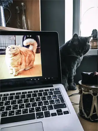 JivoChat’ten Seyhun Salihoğlu'nun çalışma masası