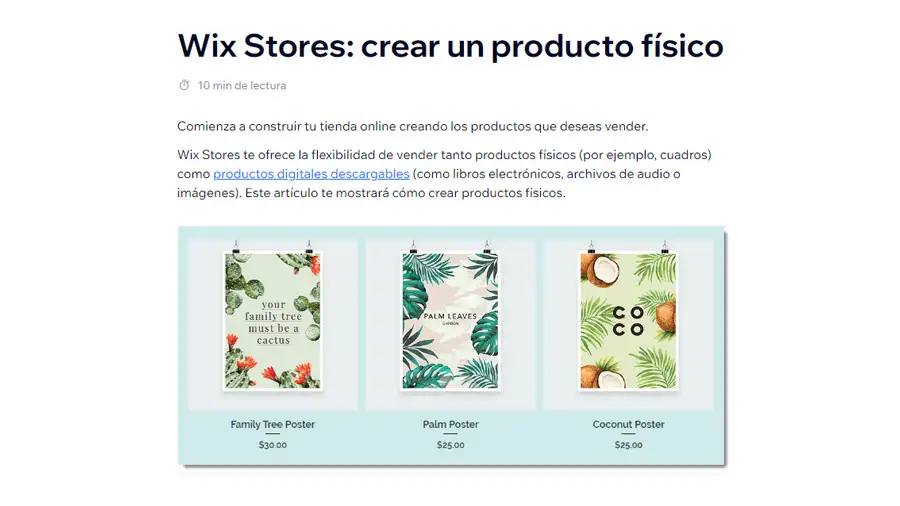 Crear tienda en Wix Pantalla sobre los productos físicos