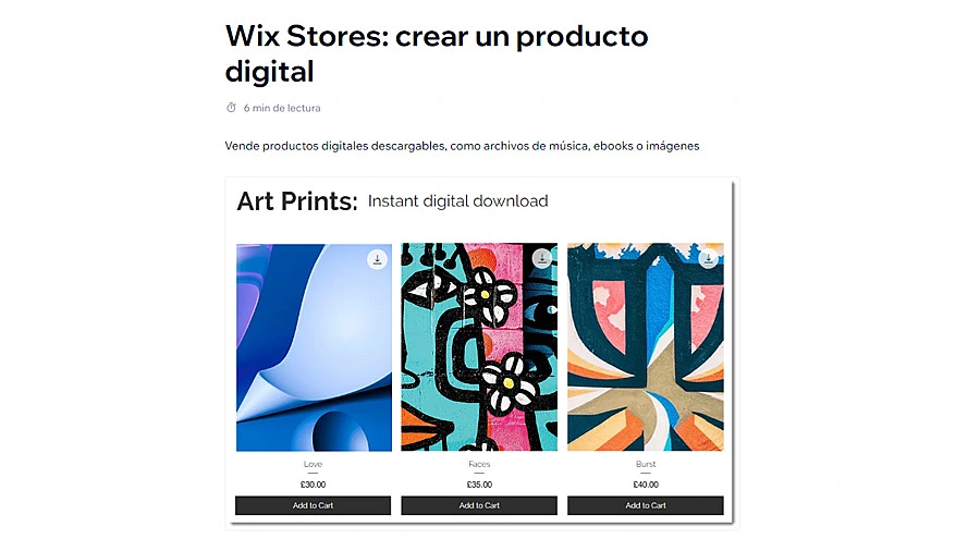 Pantalla sobre productos digitales en Wix
