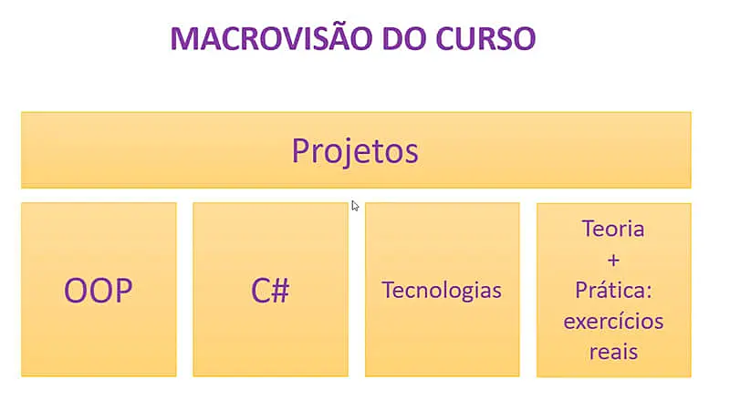 captura de tela que mostra a macrovisão do curso de C#