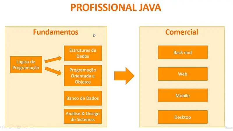 captura de tela que mostra os principais tópico abordados no curso profissional de Java