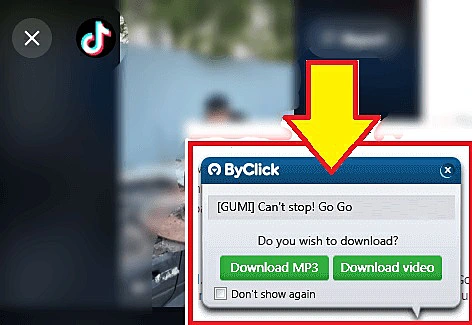 Descargar videos de TikTok usando ByClick Downloader