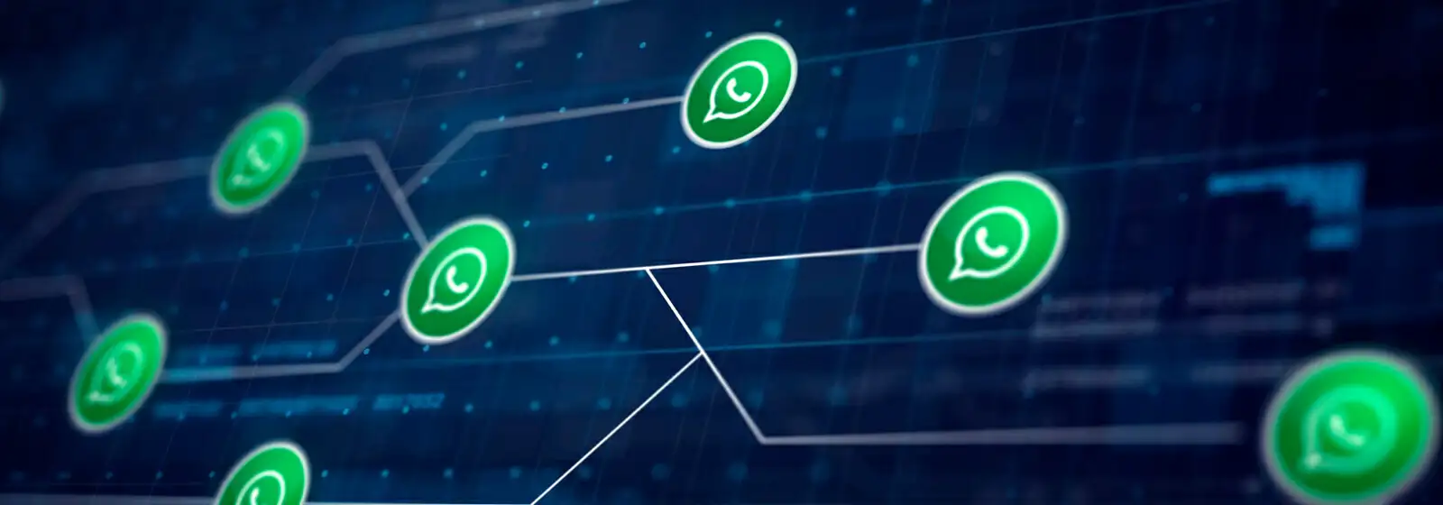 disparador-de-whatsapp