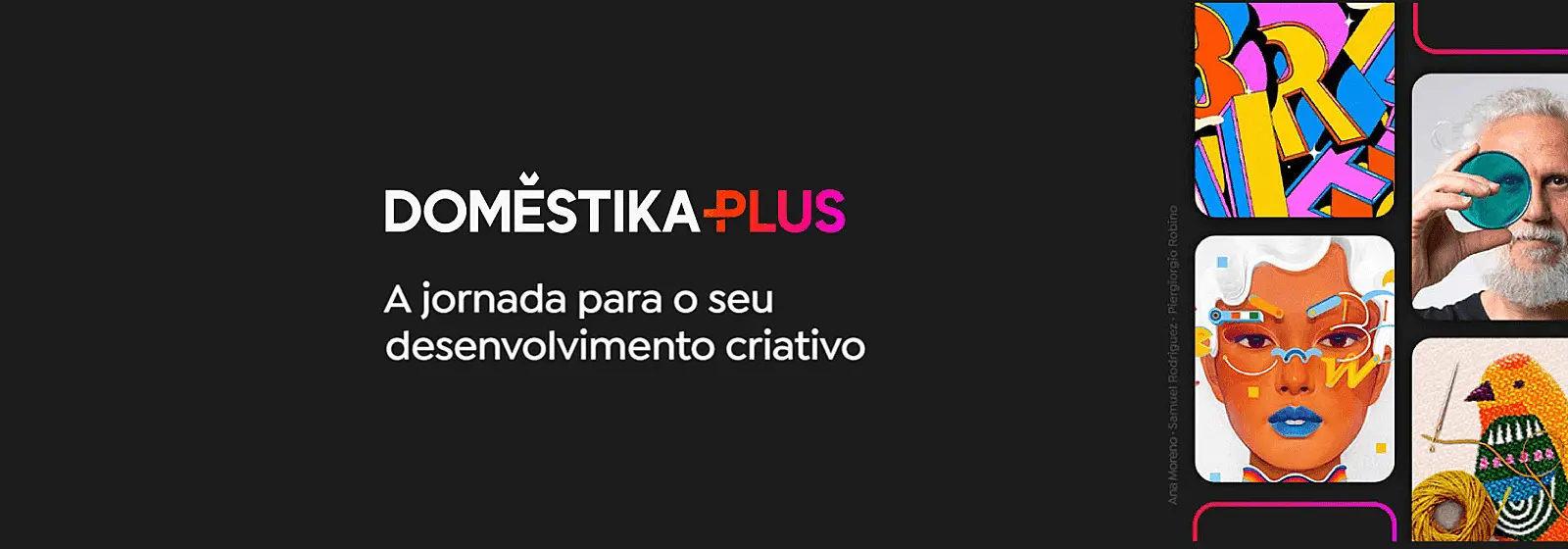 domestika-plus