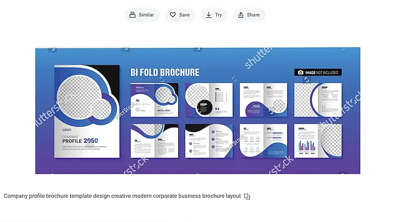 Company Profile Brochure template