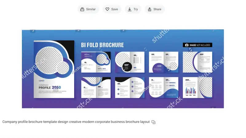 Company Profile Brochure template