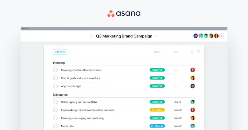Asana page