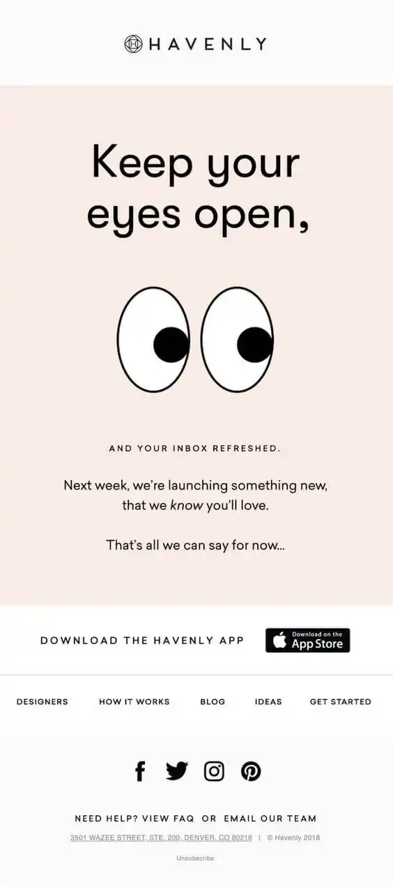 41 exemplo de email marketing havenly