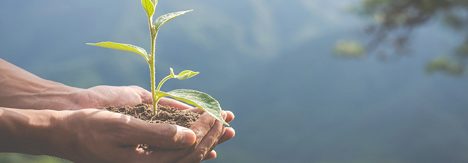 embalagens-sustentaveis