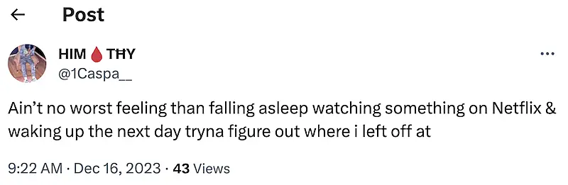 Twitter post where it's written "Ain't no worst feeling than falling asleep watching something on Netflix & waking up the next day tryna figure out where I left off at."