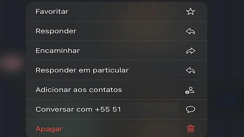 Recorte de um grupo de WhatsApp com opções de mensagem