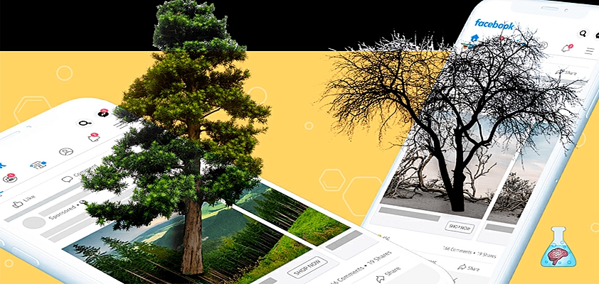 estrategia-de-conteudo-evergreen-construindo-ativos-seo