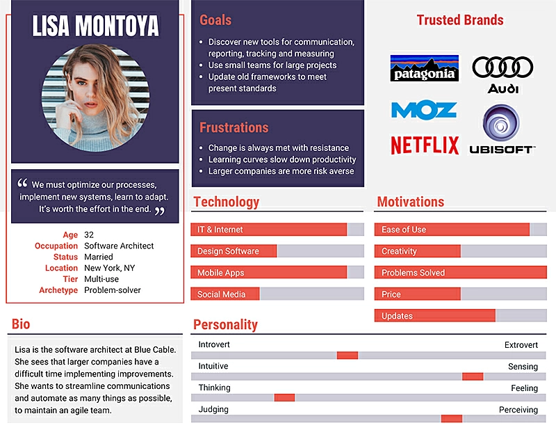 Infográfico de persona virtual