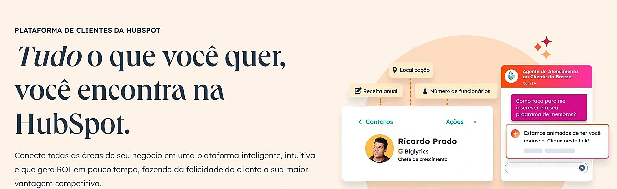 Captura de tela do HubSpot