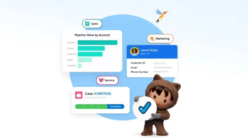 Captura de tela do Salesforce