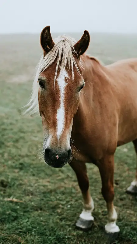 Foto de Pexels
