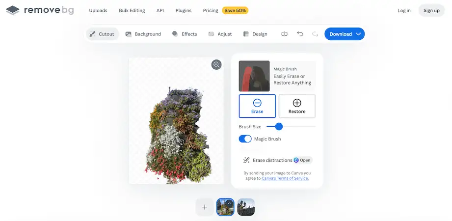 Remove.bg editor showing a cutout of a colorful, flower-covered sculpture on a transparent background with erase and restore tools visible.