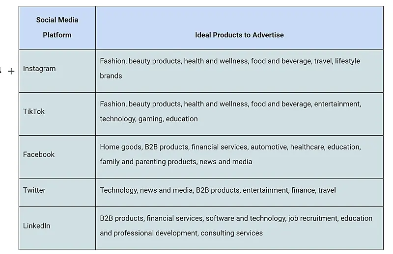 Table explaing the best social media platforms for the type of products