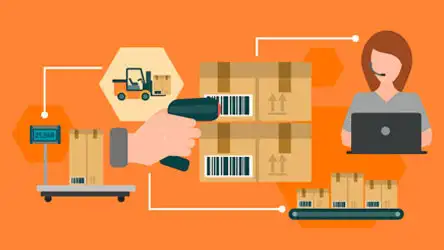 gráficos relacionados con stock, cajas, básculas y transportadores