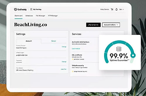 Captura de tela do site GoDaddy