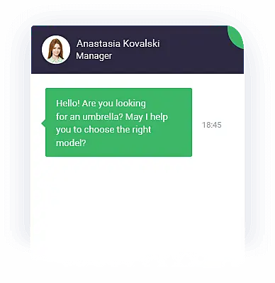 Live chat window