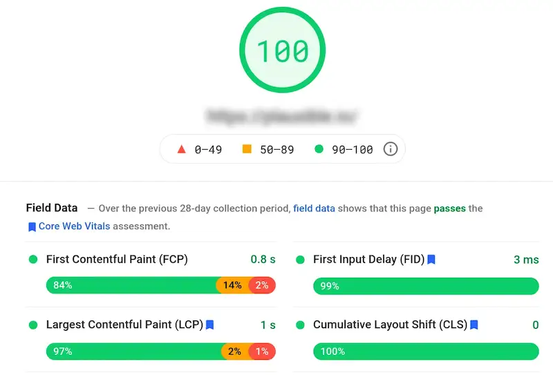 Google page speed insights