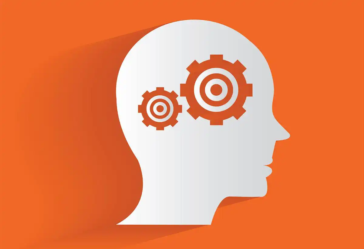 Düşünce Liderliği