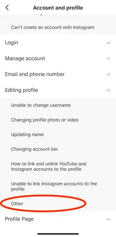 TikTok report a problem menu topics