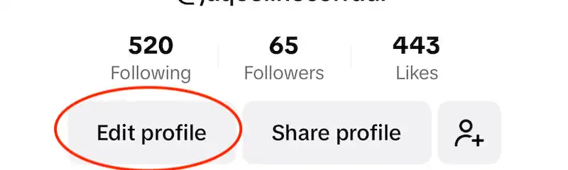 TikTok profile menu