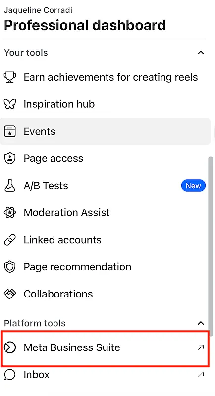 Professional dashboard menu