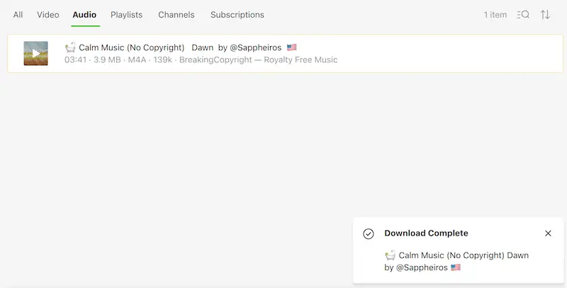 How to download music from YouTube - download progress 4K Video Downloader - download progress page