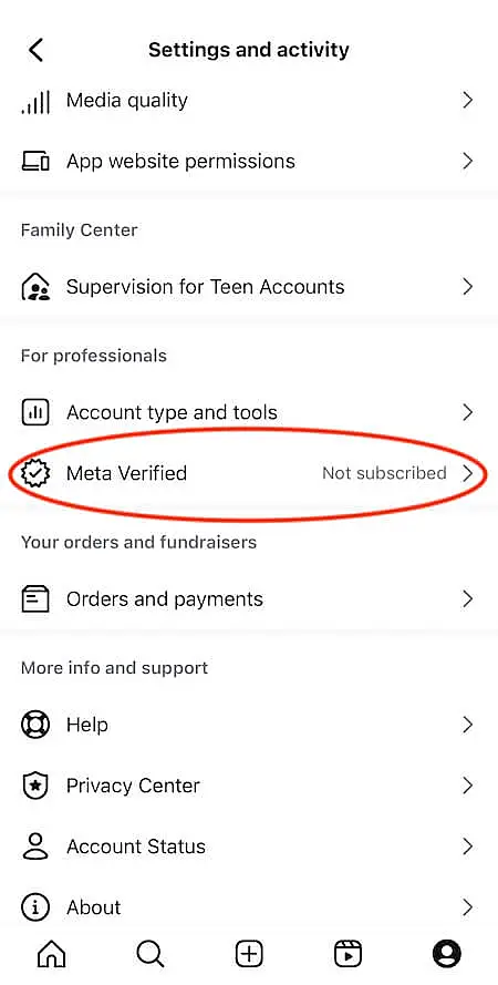 Instagram account settings menu