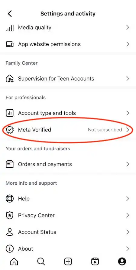 Instagram account settings menu