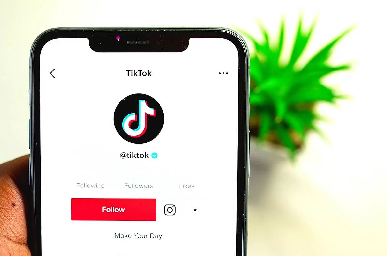 how-to-get-verified-on-tiktok