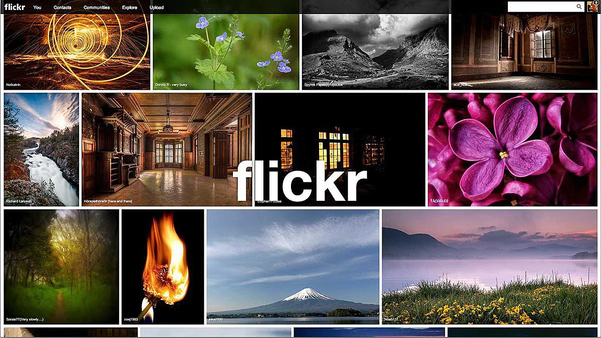 Flickr Website