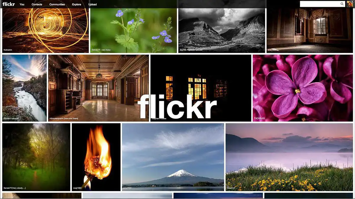 Flickr Website