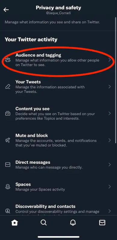 Twitter privacy and safety menu, the audience and tagging option is highlighted.