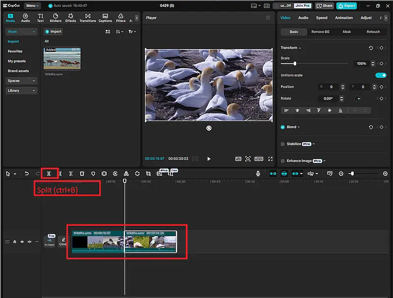 Cupcat desktop interface trim and cut example