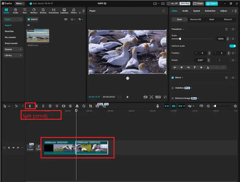 Cupcat desktop interface trim and cut example