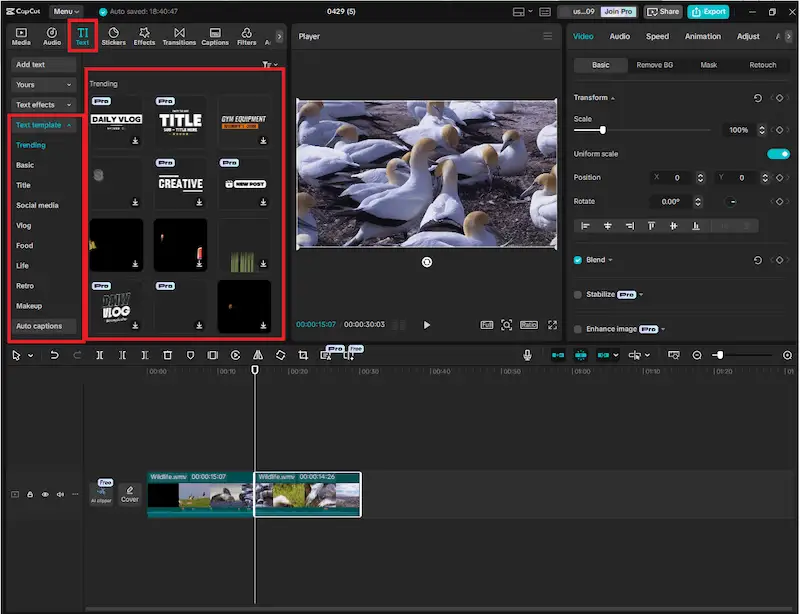 CapCut interface example of how to add subtitles