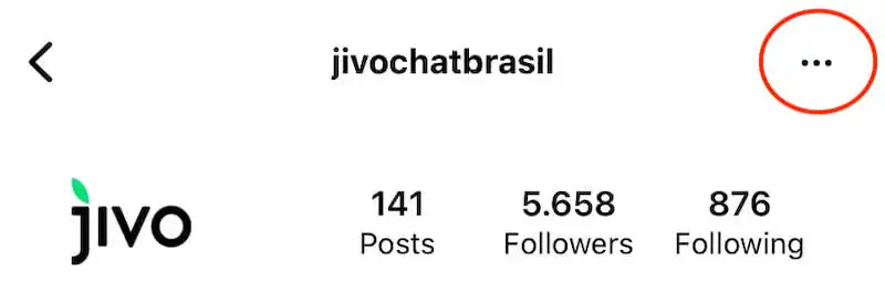 Instagram profile image showing the three dots button